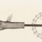 georgefish Fish