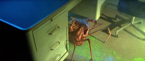 Large insect crawling out of desk