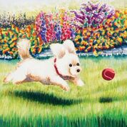White dog with red collar running on grass after a red ball. Colored flowers behind him.