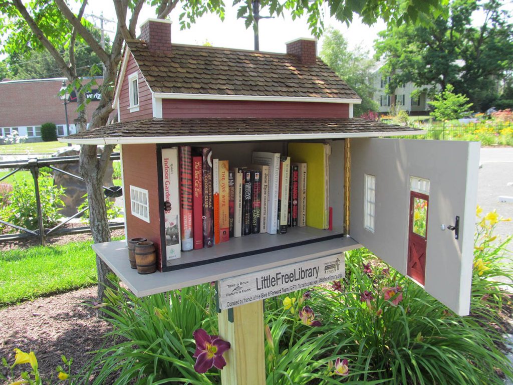 little free library 3