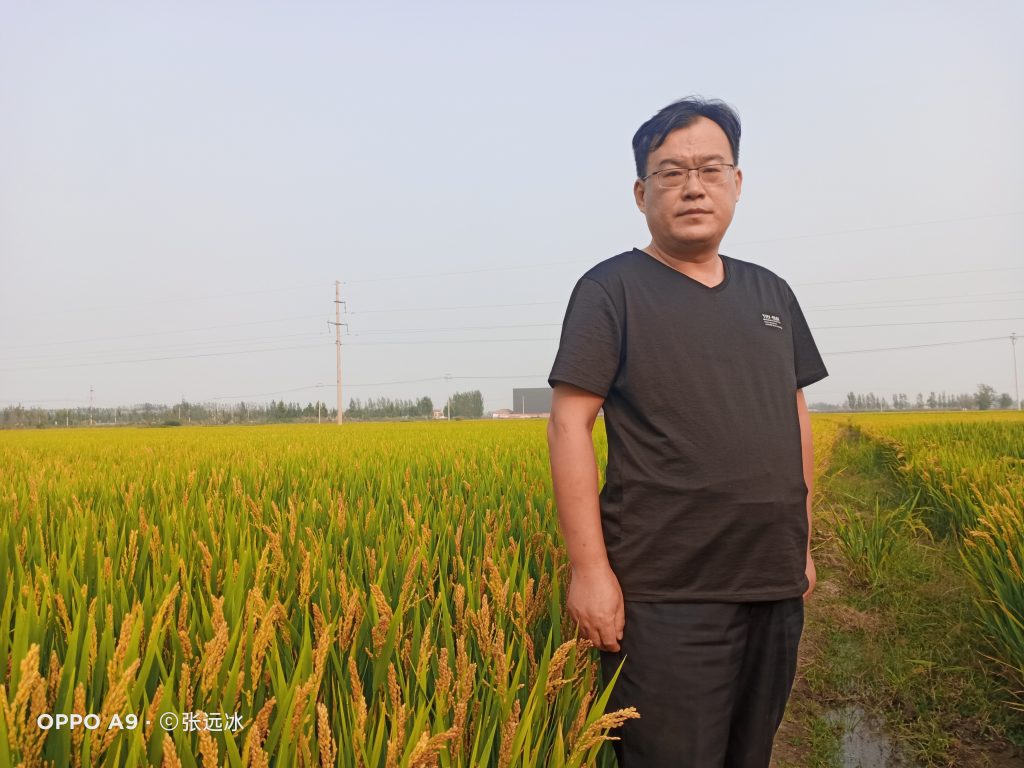 Middle aged Chinese man dressed in all black standing in a green field of grain. He has glasses and short black hair. 