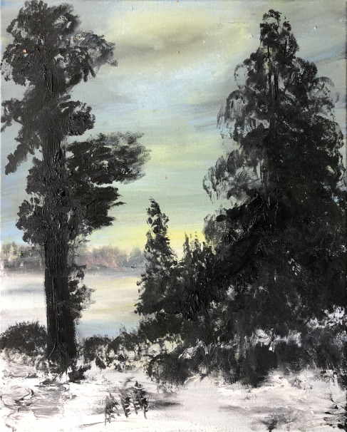 Evergreen trees in the foreground in the snow, possibly a frozen lake in the background and more trees on the other side. 