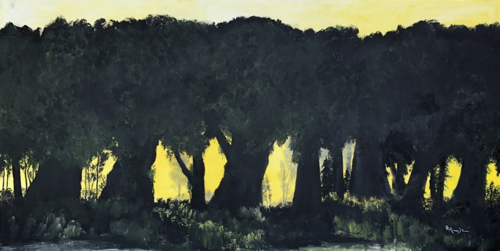 Group of large thick trees growing together on a thick green lawn. Orange morning or evening light. 