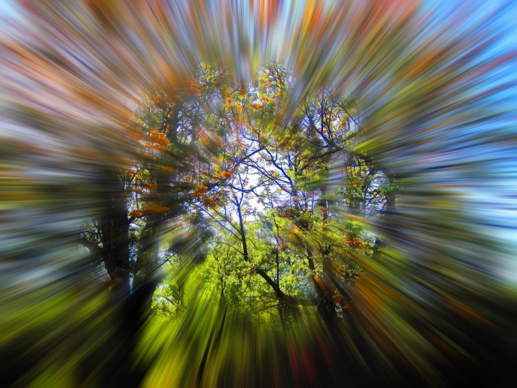 Image of a tree with green leaves and dark black branches, possibly a live oak, up against a blue sky. Image is photographically altered to have less focus on the edges, as if the photographer zoomed out with the lens. 