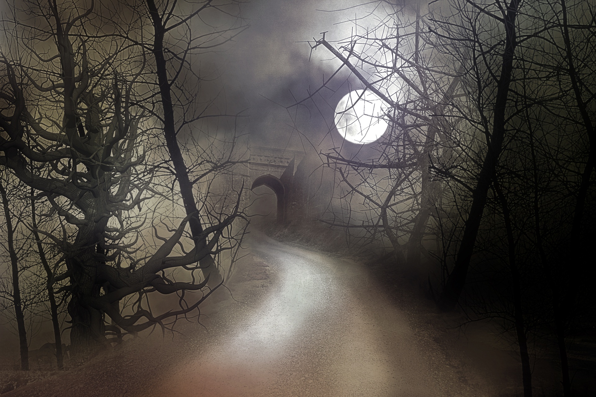 Редеет мгла ненастной ночи. Мистический фон. Страшный лес. Таинственная ночь. Таинственный туман.