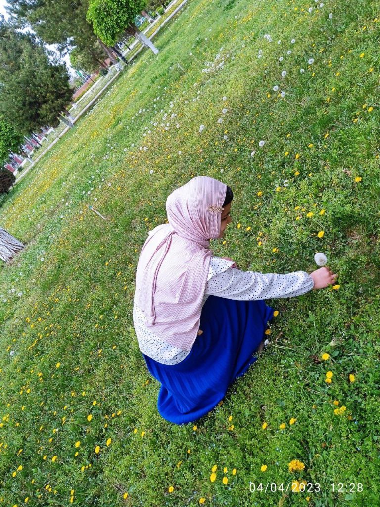 Young Central Asian woman picking dandelions in a field. Some trees in a distance and she's got a pink cape and headscarf and a long sleeved top with black dots on a white background and a blue skirt. 