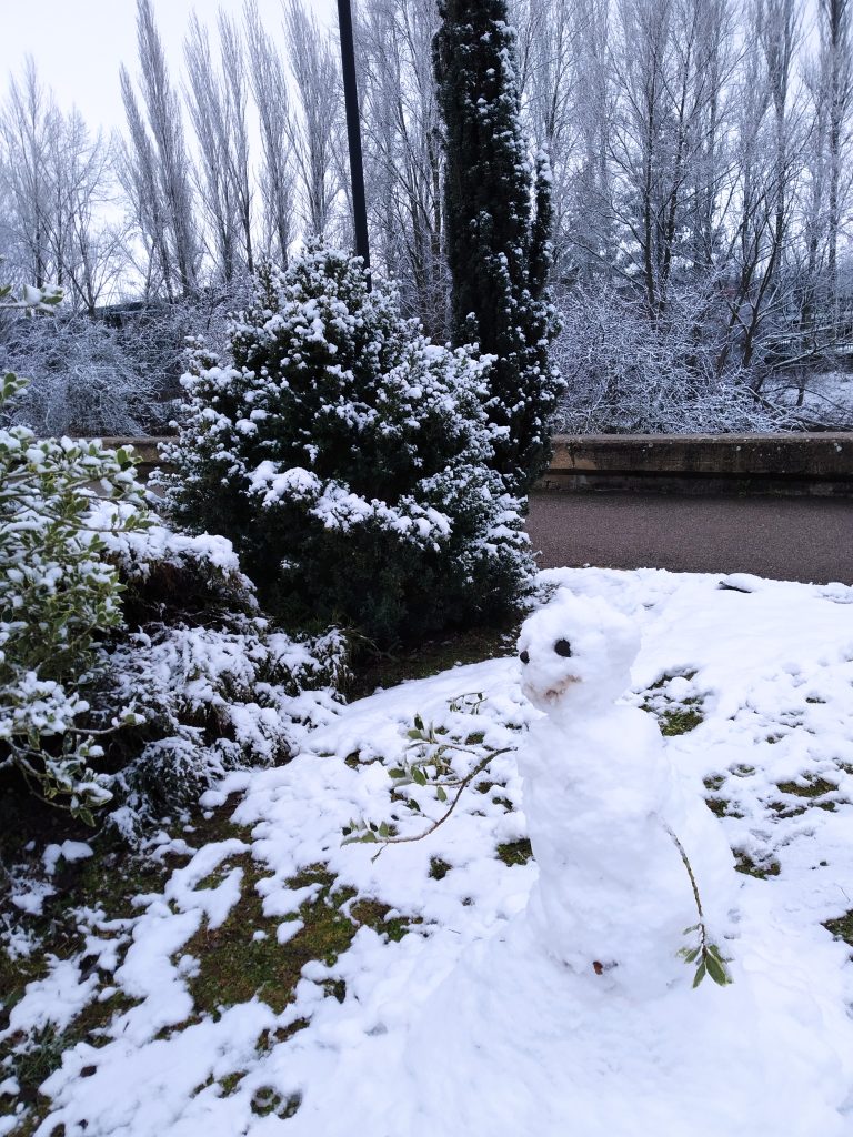 Small snowman in a wooded area where the trees are evergreen or leafless and dusted with snow. 