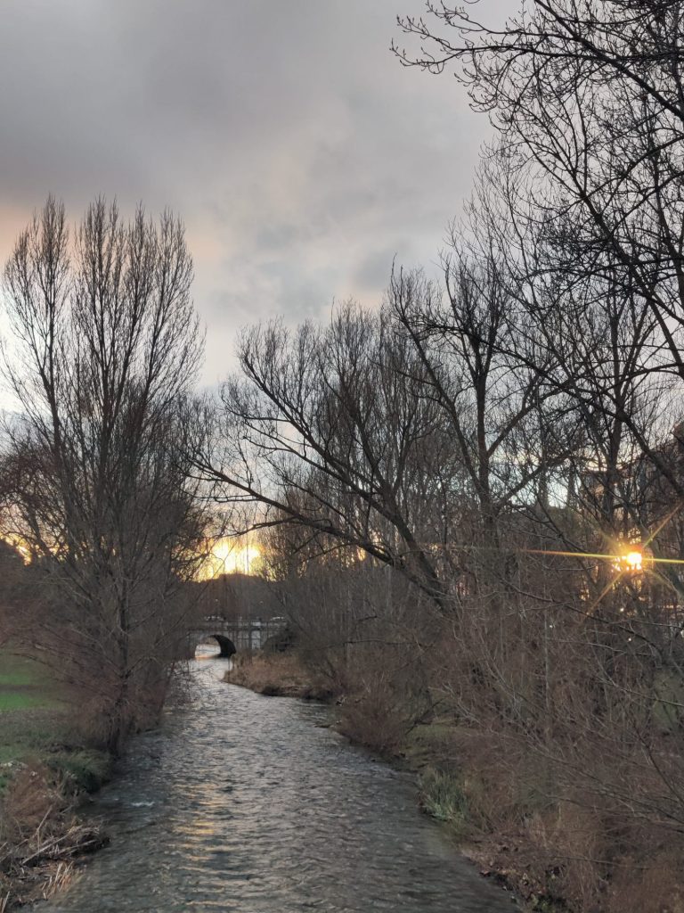 Sun slowly sinking behind trees on a cloudy day. Trees are leafless and there's a river and bridge in the distance. 