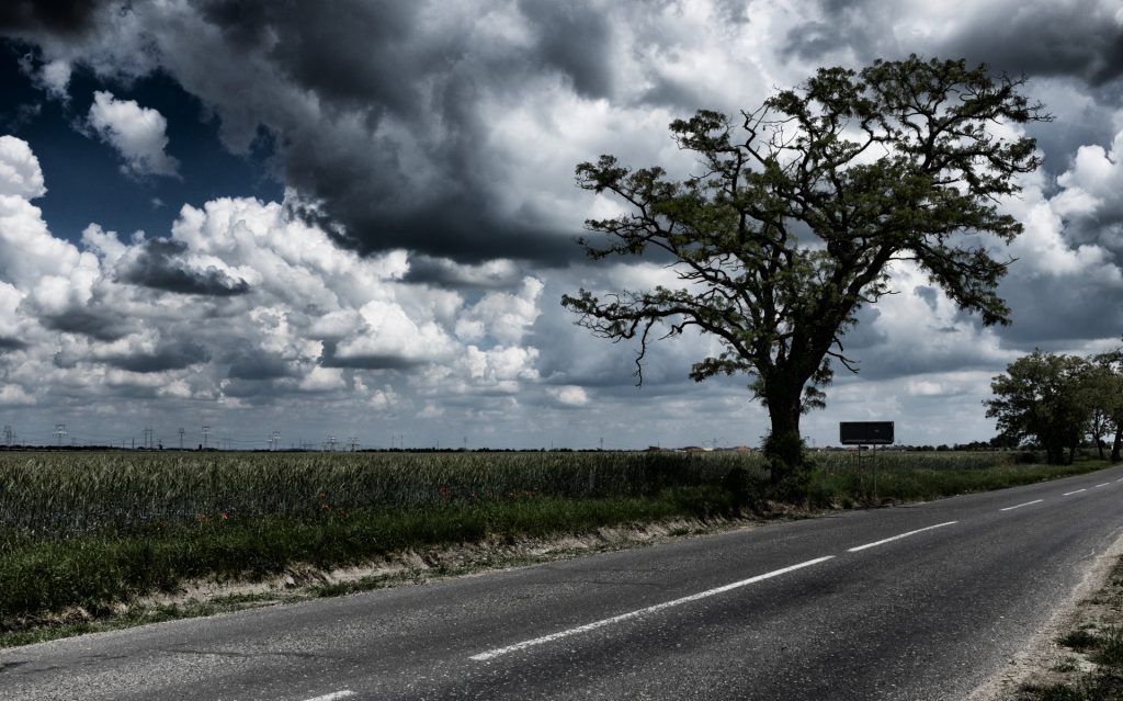 Sparse group of windswept trees growing along a two lane country road near a field with clouds in the sky and a billboard in the distance. 