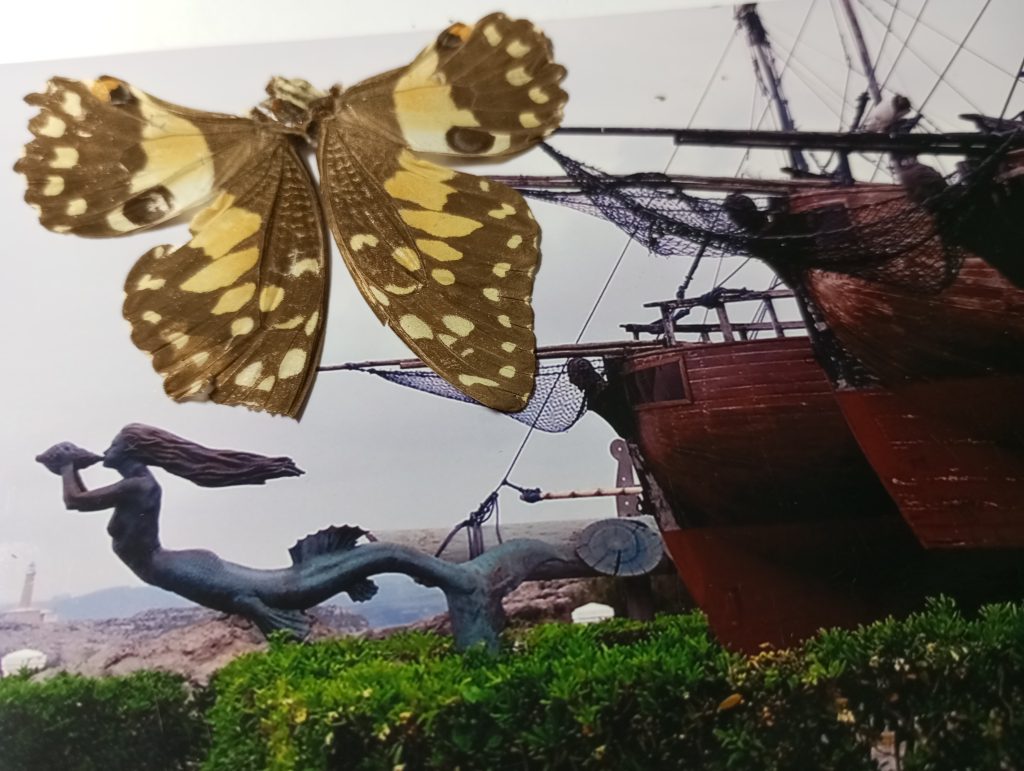 Butterfly in front of a red sailing ship with rigging and a dark metal sculpture of a mermaid. 