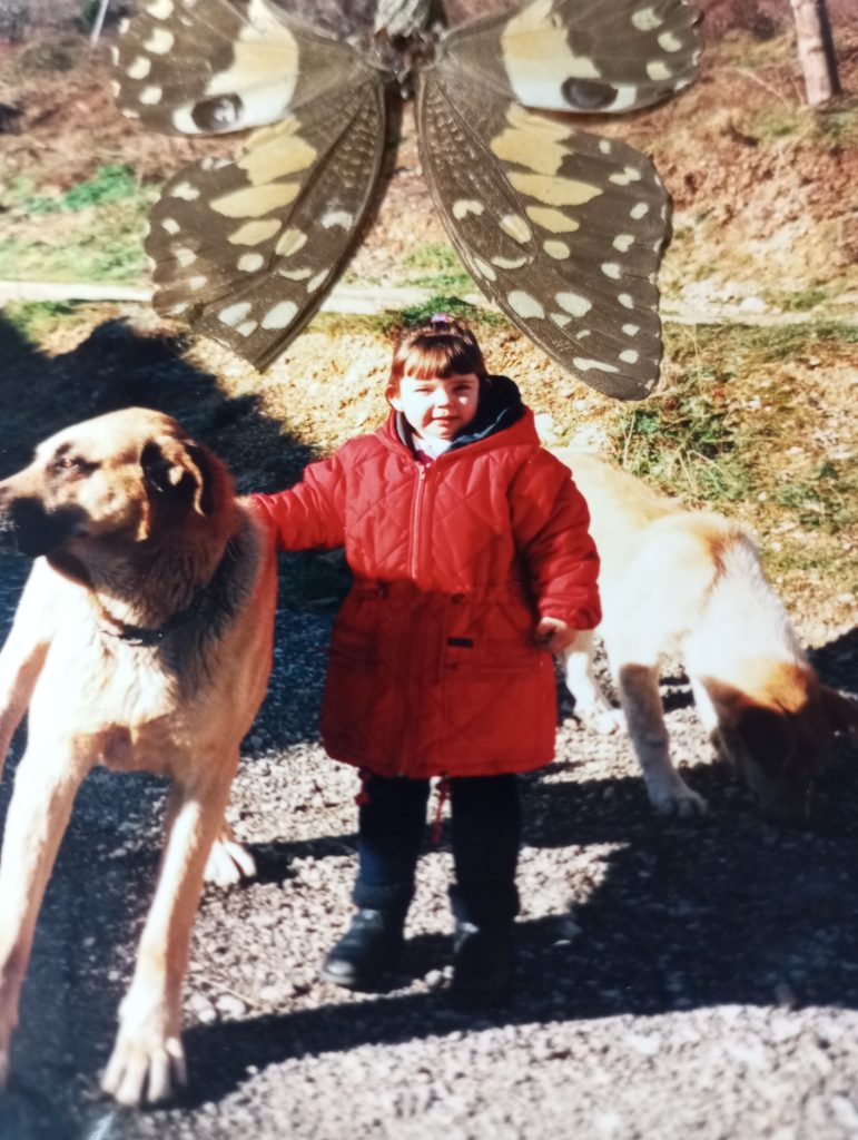 Young girl in a red jacket in front of a light brown dog and a pig outside in a field. Butterfly. 
