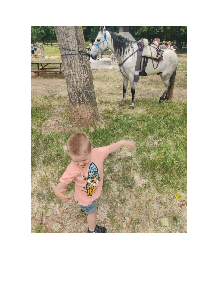 White horse with harness and saddle and young white boy with a peach tee shirt and jean shorts and tennis shoes in front of the horse and tree.