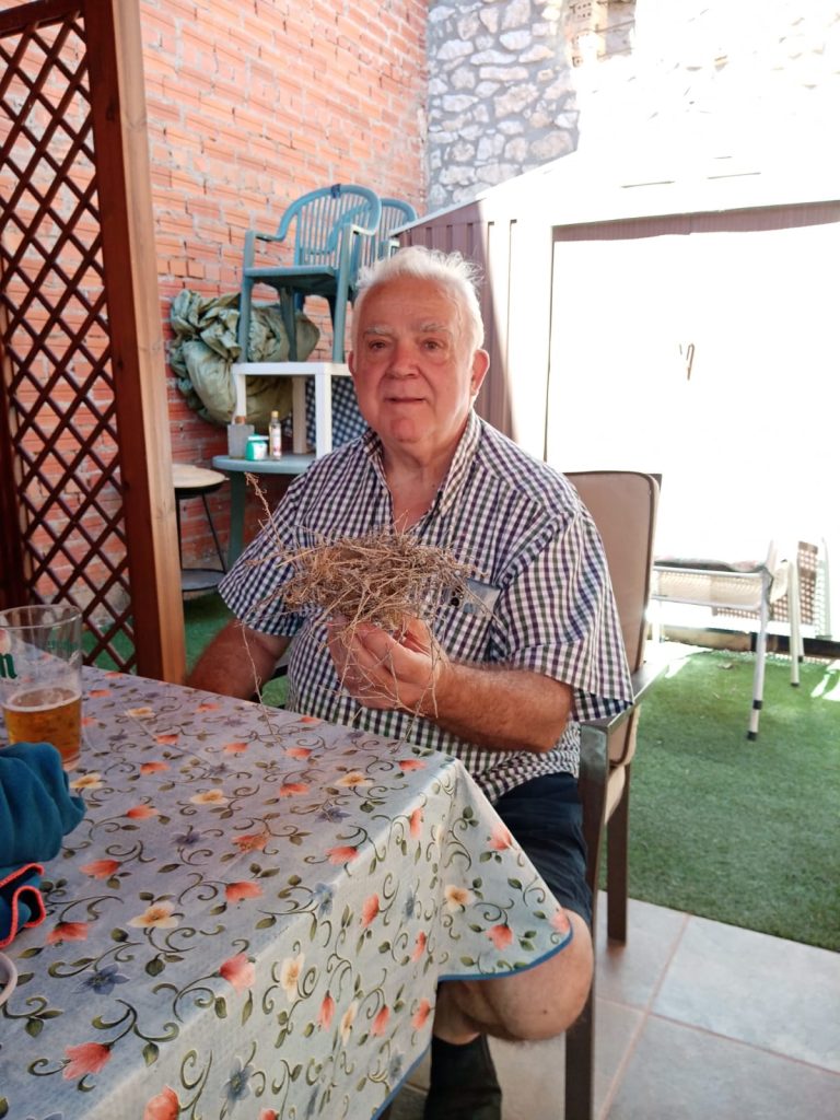 Older man with white hair and a checkered shirt holding dry grass and sitting in a chair outside by a brick wall and wooden gate and table. 