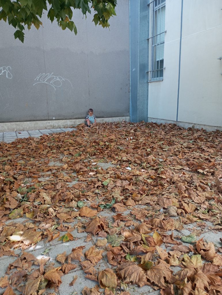 Dry brown leaves in a concrete corner outdoors by the walls of a building. Barred window and child in the distance. 
