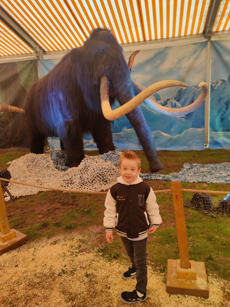 Young white boy with a school jacket, jeans, and short hair standing in front of a long-tusked model of a black-furred woolly mammoth. 
