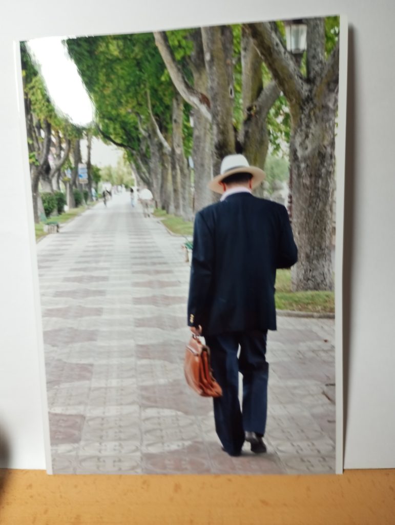 Middle aged man from behind walking down a street in a park lined by leafy green trees. He's got a hat and a black coat and a brown briefcase. 