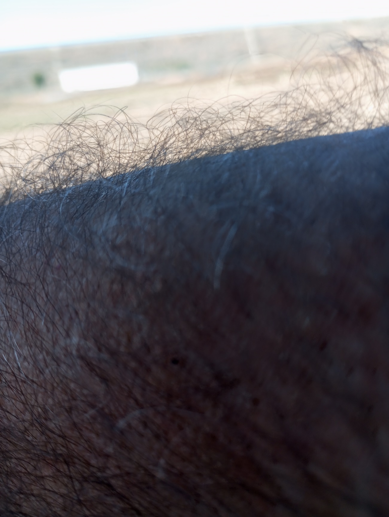 Man's hairy arm. 