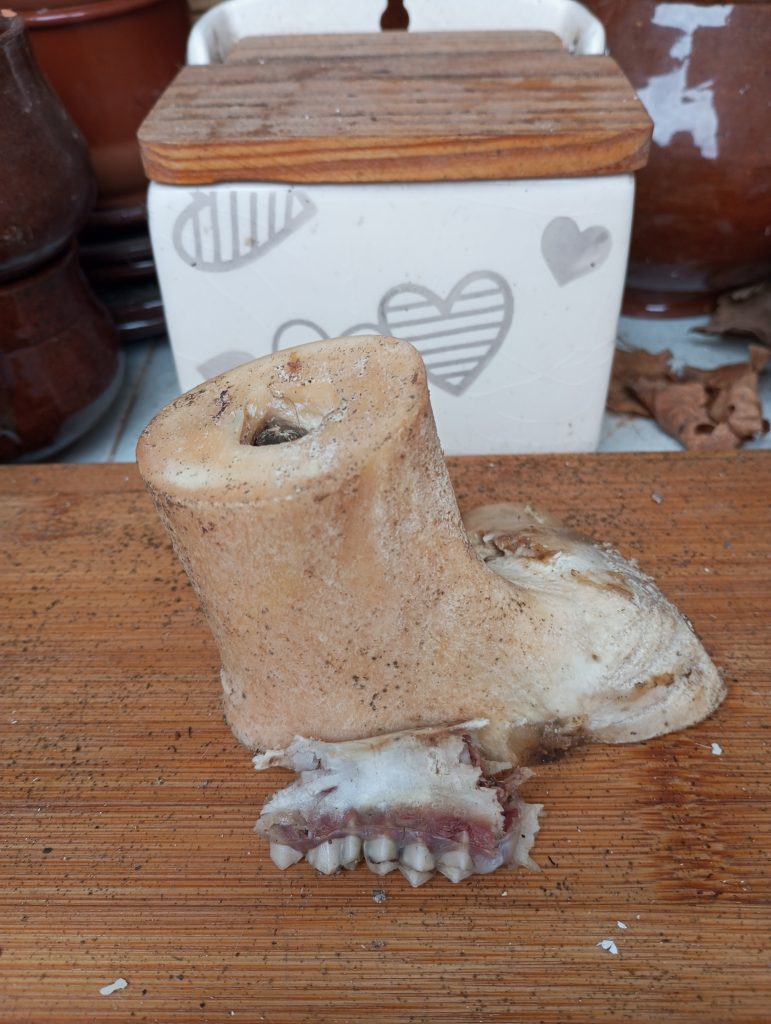 Clay sculpture of a boot resting on a wooden table. Another wooden workbench is in the distance. 