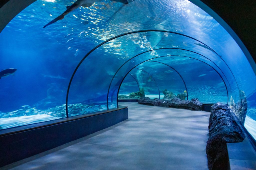 Huge aquarium tunnel with blue water and rocks and a few midsize indeterminate fish swim inside. 