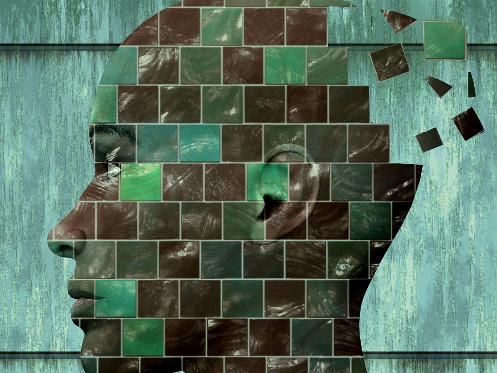 Right profile image of a woman's bald head composed of squares and curved boxes, each filled with a natural-looking design of trees or grass or ground, something green or brown or blue. Some of the squares are flying off in the back into the blue-green background. 