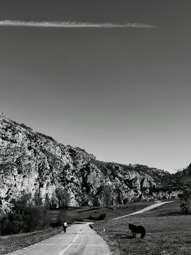 Black and white photo of a granite mountain range with trees and a small road or hiking path. Lots of sky. 