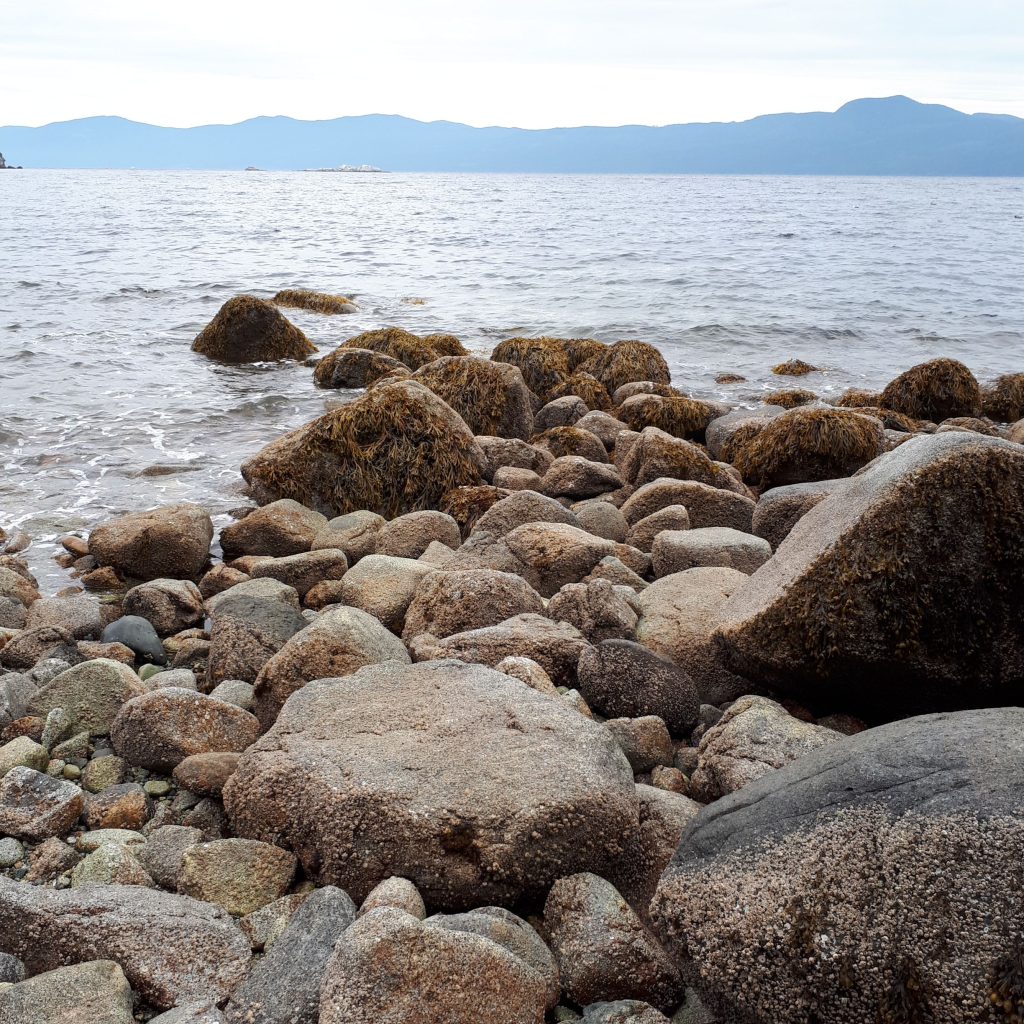 Rocks covered with seaweed and algae out by the water. Land in the near distance. 