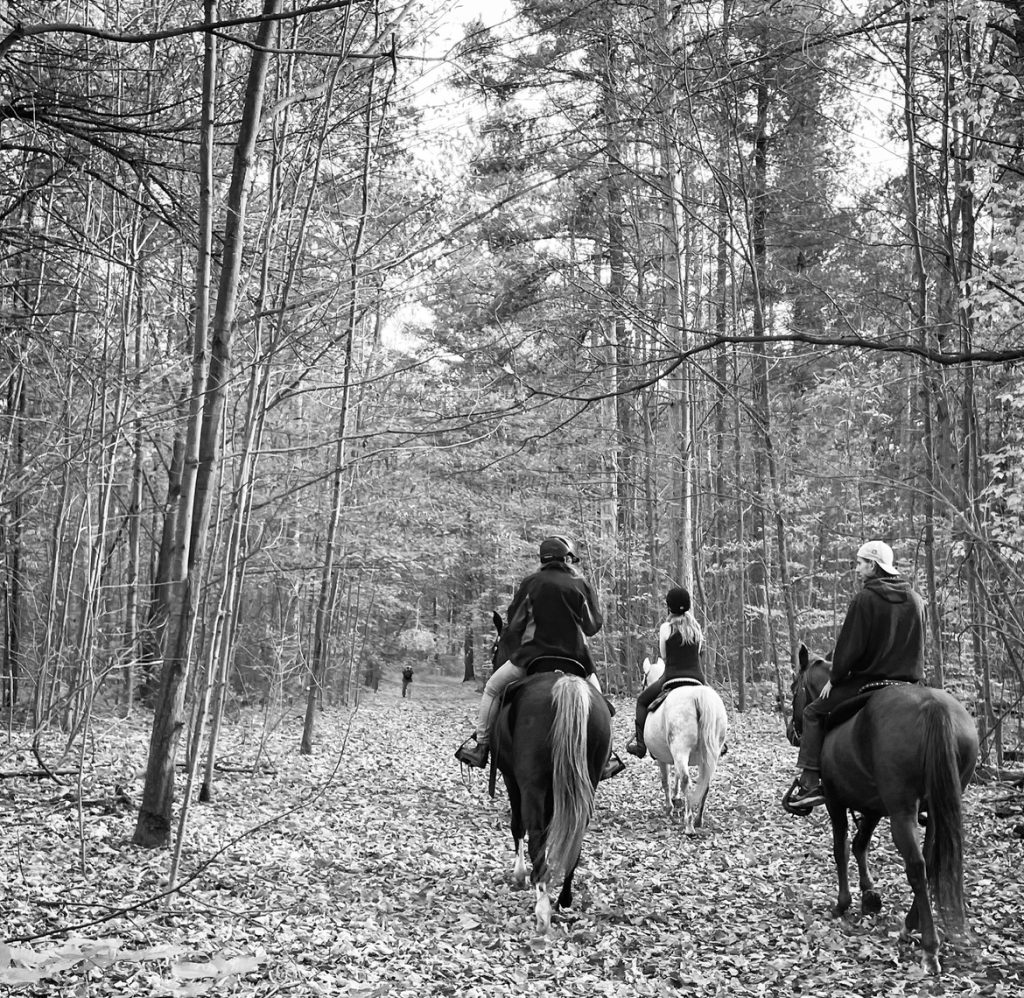 Black and white photo of a group of people riding horses in the forest. 