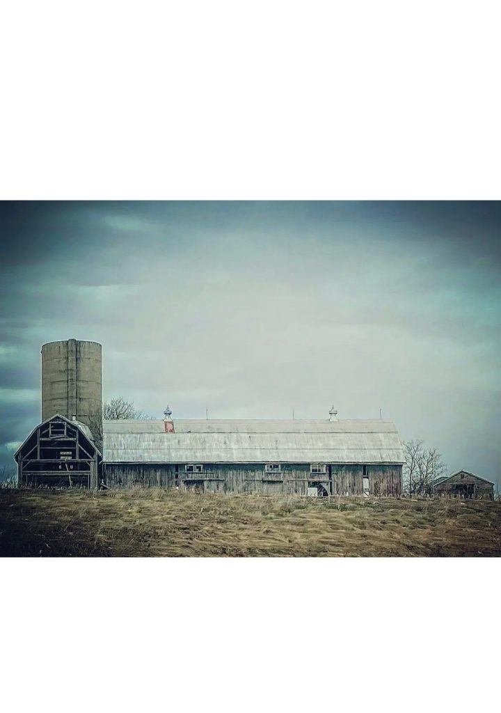 Long barn and grain silo on a dry patch of grass under a partly cloudy sky. 