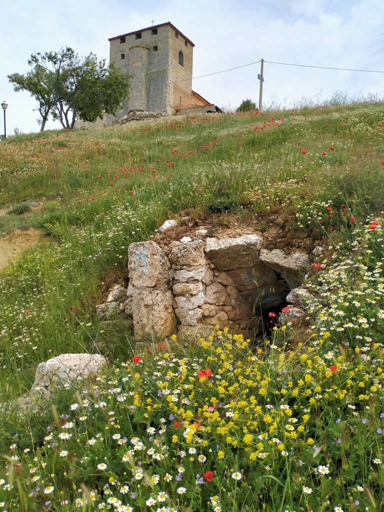 Red and yellow and white wildflowers on a hillside above an old stone tunnel. At the top of the hill are a few trees, a stone tower, a lamp, and power lines. 