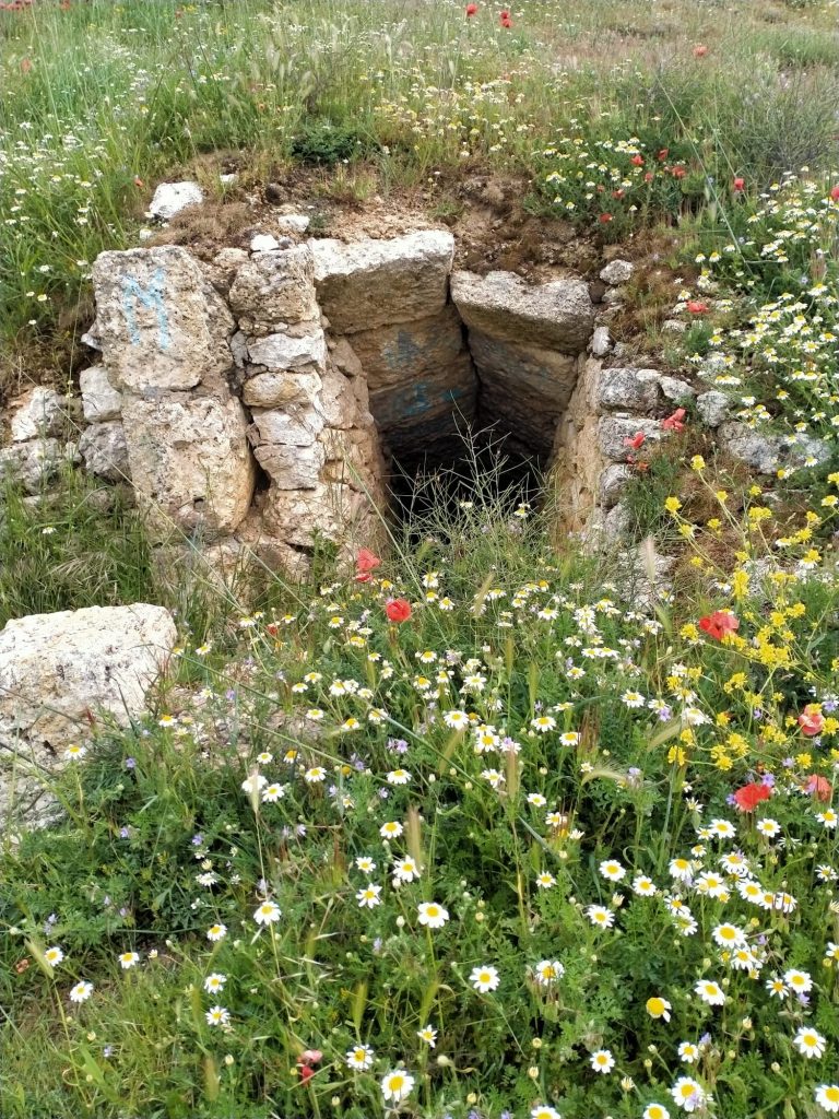 Closeup of the stone well/tunnel surrounded by wildflowers. 