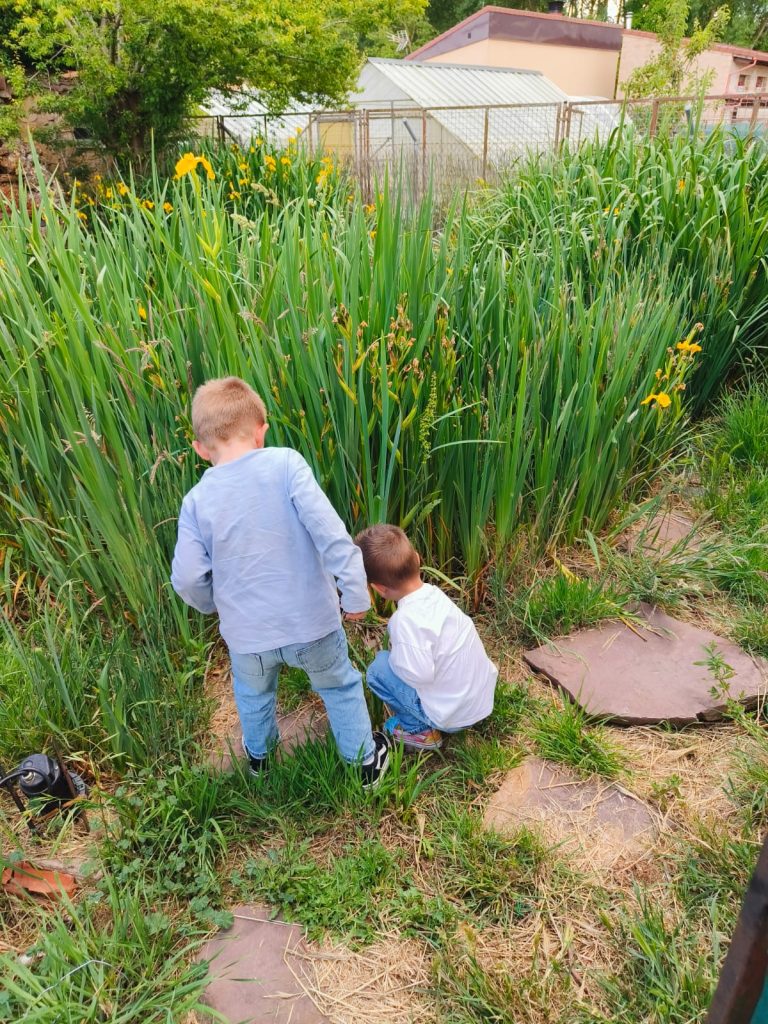 Two young white boys from the back with short haircuts playing outside near tall green stalks with yellow flowers. A building and greenhouse are nearby. 