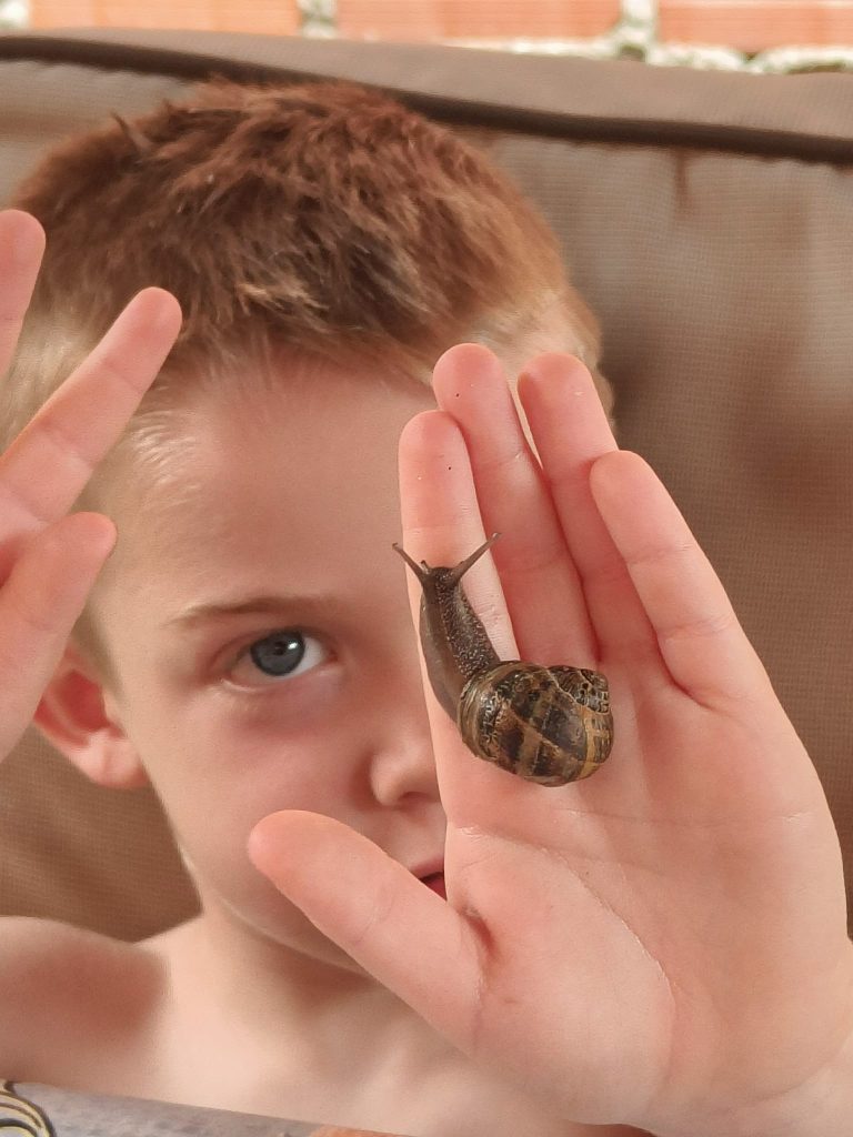 Small light-skinned boy holding a snail in his hand. 