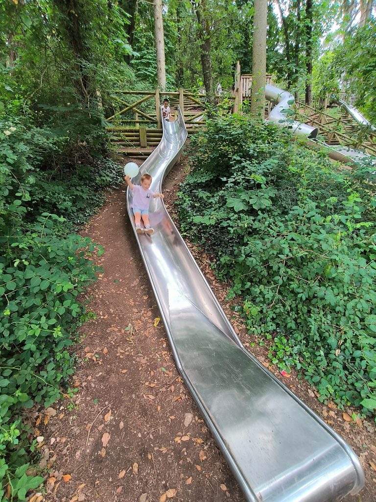 Boys going down a twisting metal slide in a forest with tall conifer trees, a trail, wooden steps, other slides, and blackberries. 