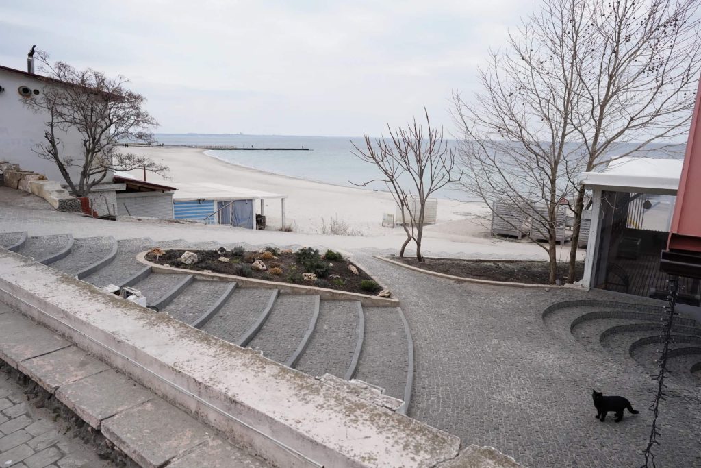 Beach landscape with small houses separated by barren winter trees, steps, rocks, and pavement. Water in the distance, black cat present. 