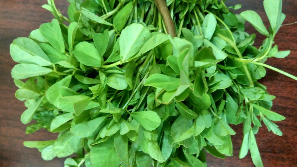 Bundle of fenugreek greens, oval leaves on stalks. 