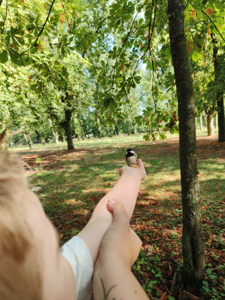 Light skinned child holding a black and white bird in their hand in a grove of leafy trees. Green grass on the ground. 