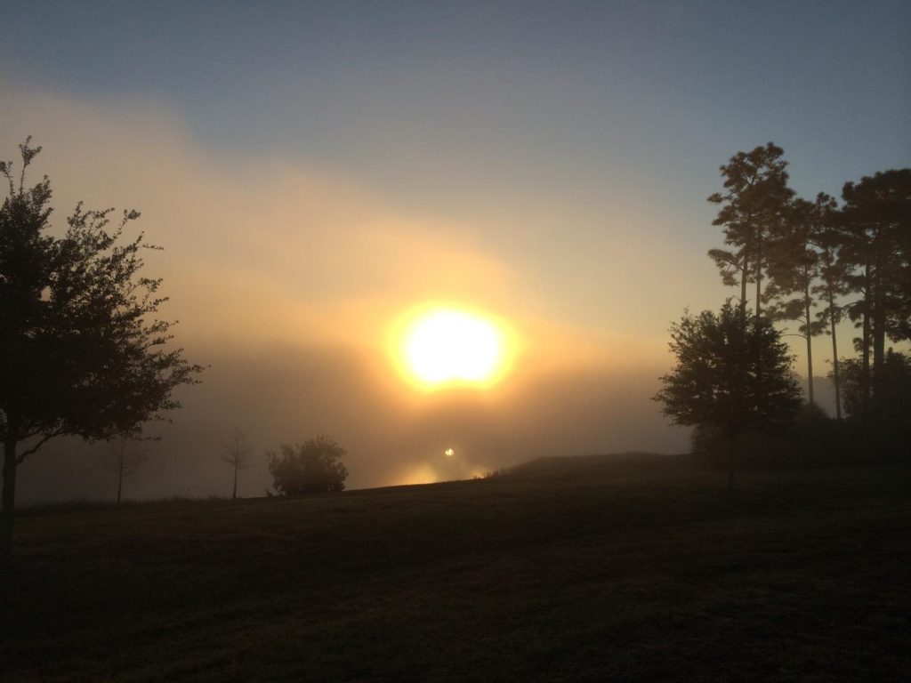 Rising sun in a yellow ball between some leafy trees, obscured by clouds. 