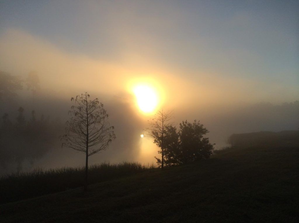 Sun rising over trees on a small hill sloping up to the right. 