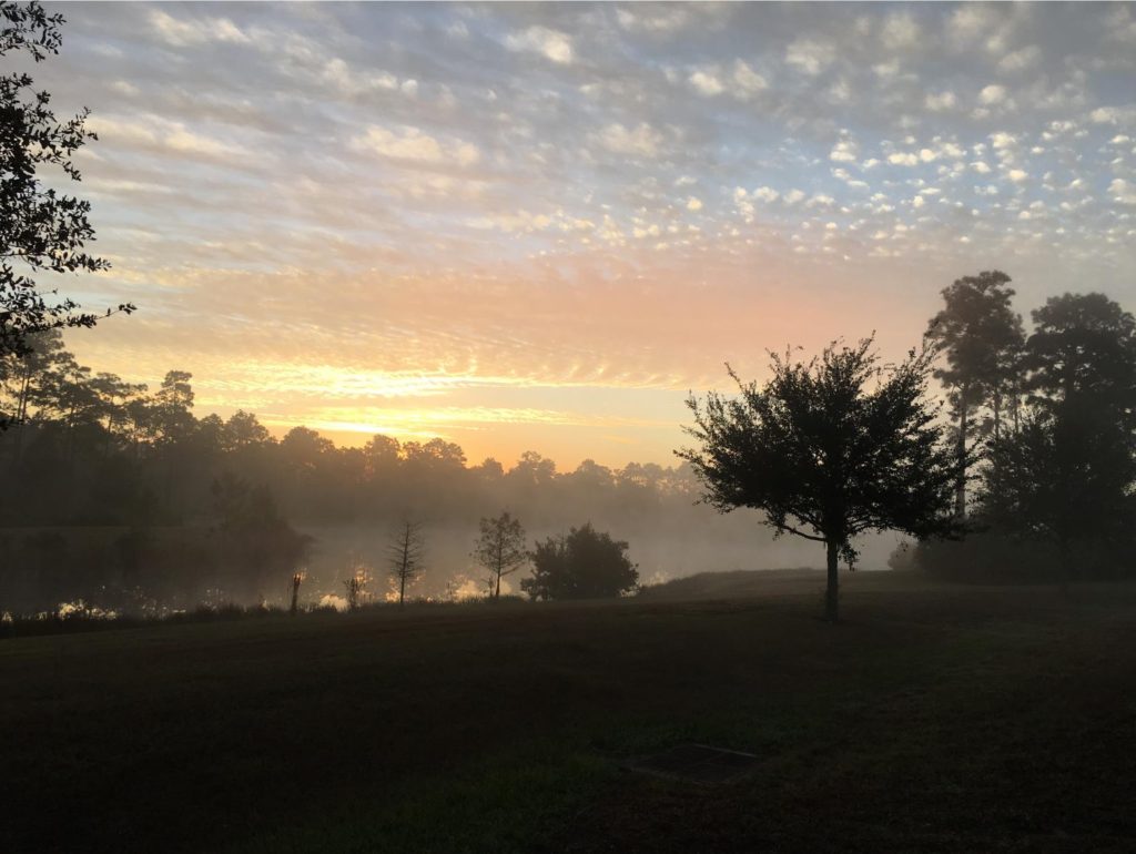 Sun rises over trees and a lake, landscape is only beginning to be illuminated. Wispy ink and gray clouds in the sky. 