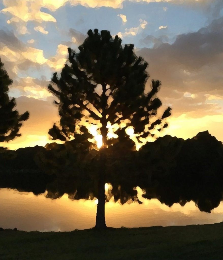 Hazy watercolor image of a tree on the water at sunrise/sunset. Bushes and reflections nearby. 