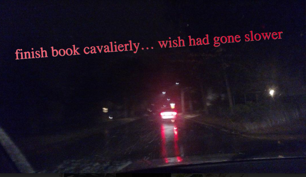 Car's red headlights off in the distance at night. Red words read "finish book cavalierly, wish had gone slower"