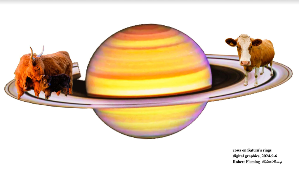 Image of Saturn with a brown cow and calf on the left edge of its ring and a brown and white cow on the right edge.