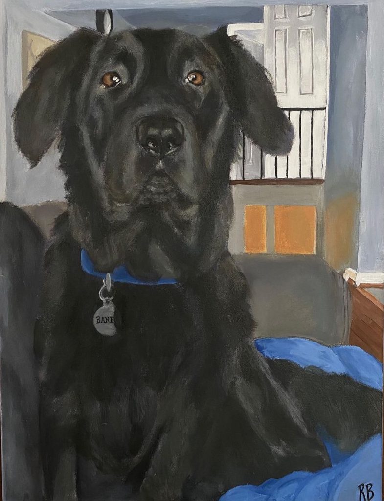 Drawing of a closeup of a black dog with a blue collar in a gray room with white doors. Dog sits on a blue cushion. 