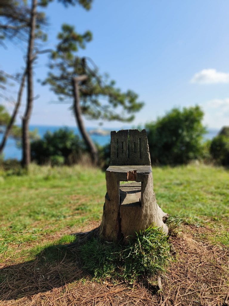 Wooden chair carved from a tree stump on a patch of grass near trees and bushes and water. 