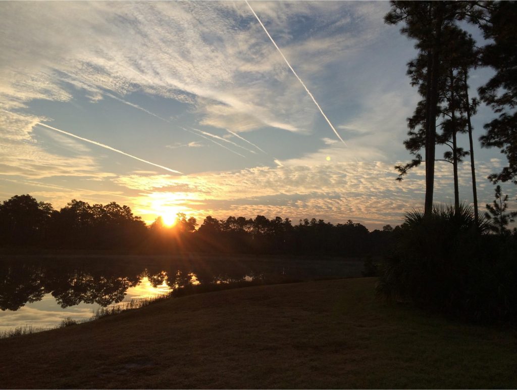 Sun setting over water and trees with blue sky with white cirrus clouds and white contrails from airplanes