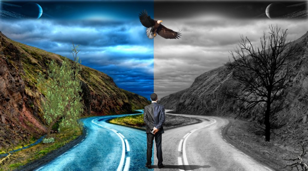 Man of indeterminate race and light skin in a business suit stands with his back to us in front of two paths on a paved road. There's a hillside and tree, leafy and green on one side and black and white and barren on the other. Moon in the top in both photos, an eagle flies above straddling the photos as the man does. 