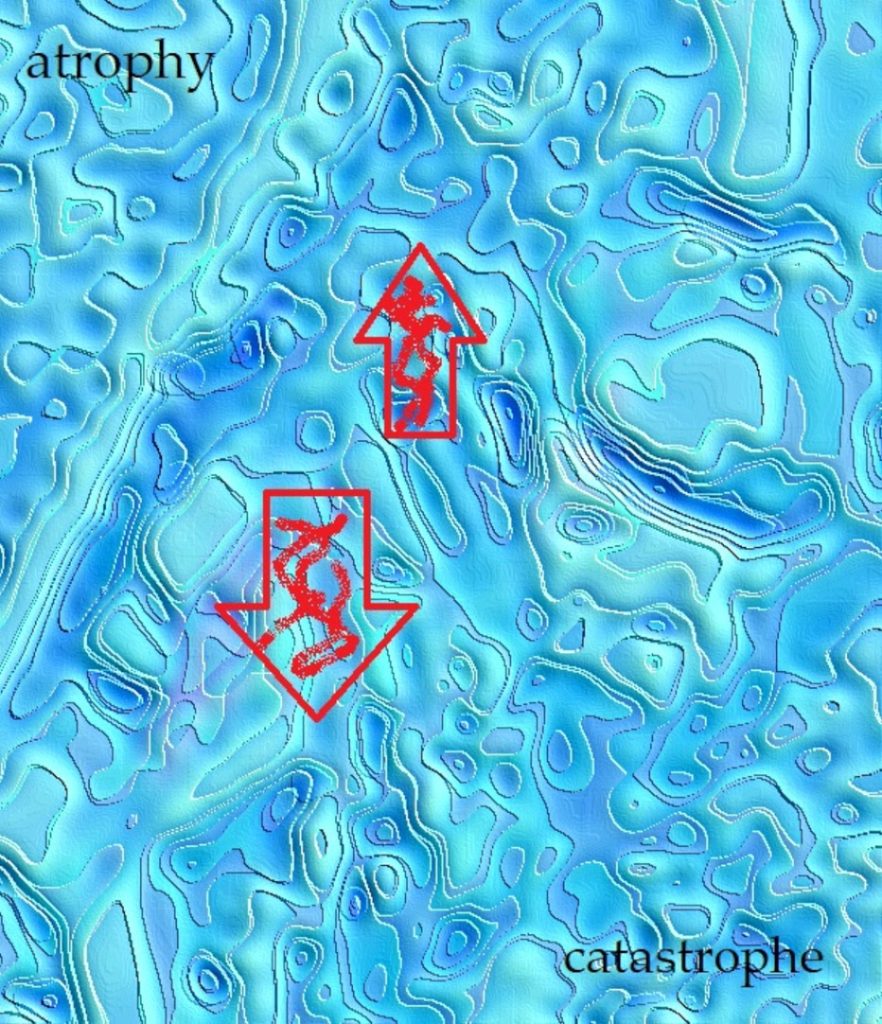 Squiggly bluegreen forms on a deep blue/purplish background, like images on a topographical map. Red arrows point up and down. Black letters in lower case spell "catastrophe" at the lower right. 