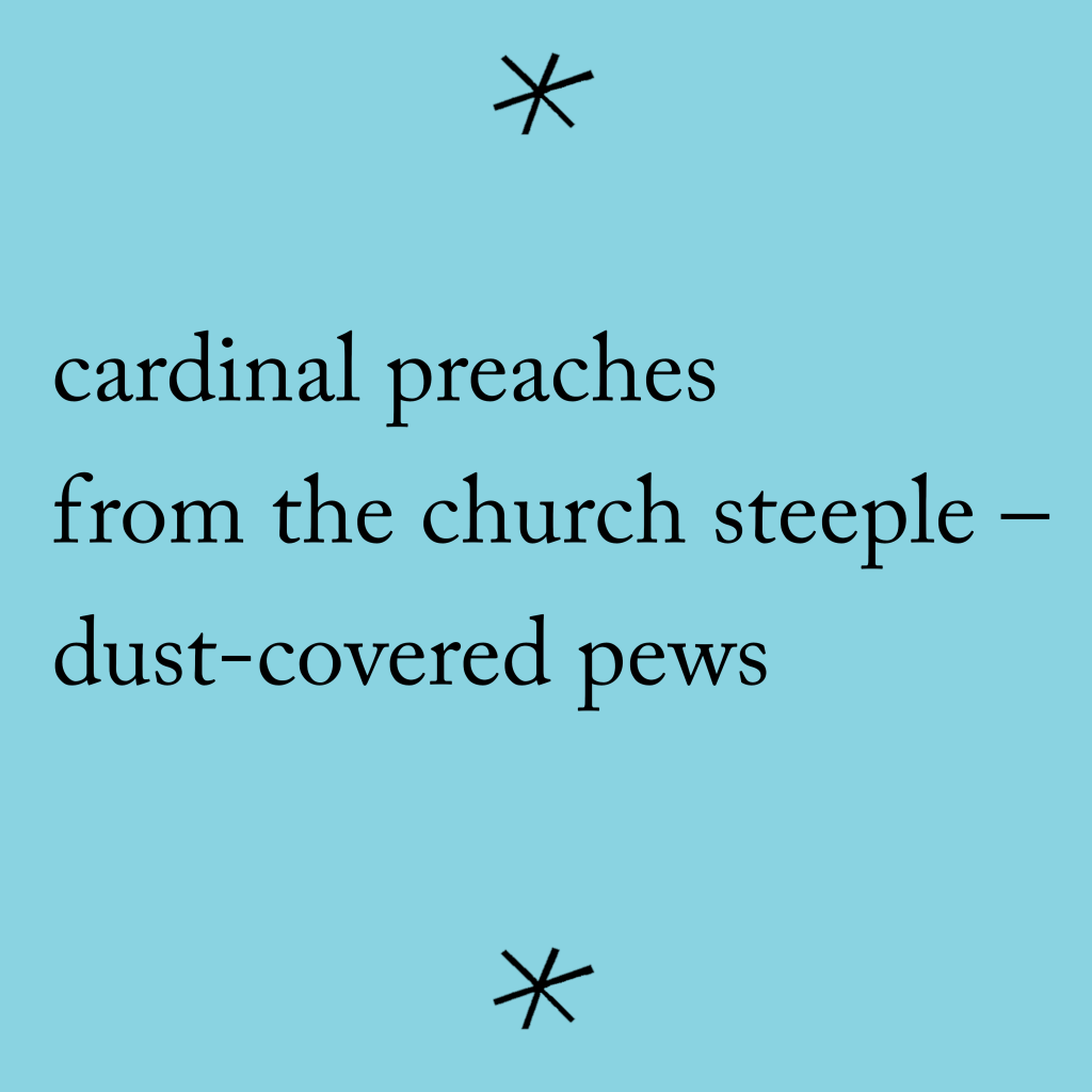 cardinal preaches
from the church steeple - 
dust-covered pews

Black lower-case text on a light blue background. 