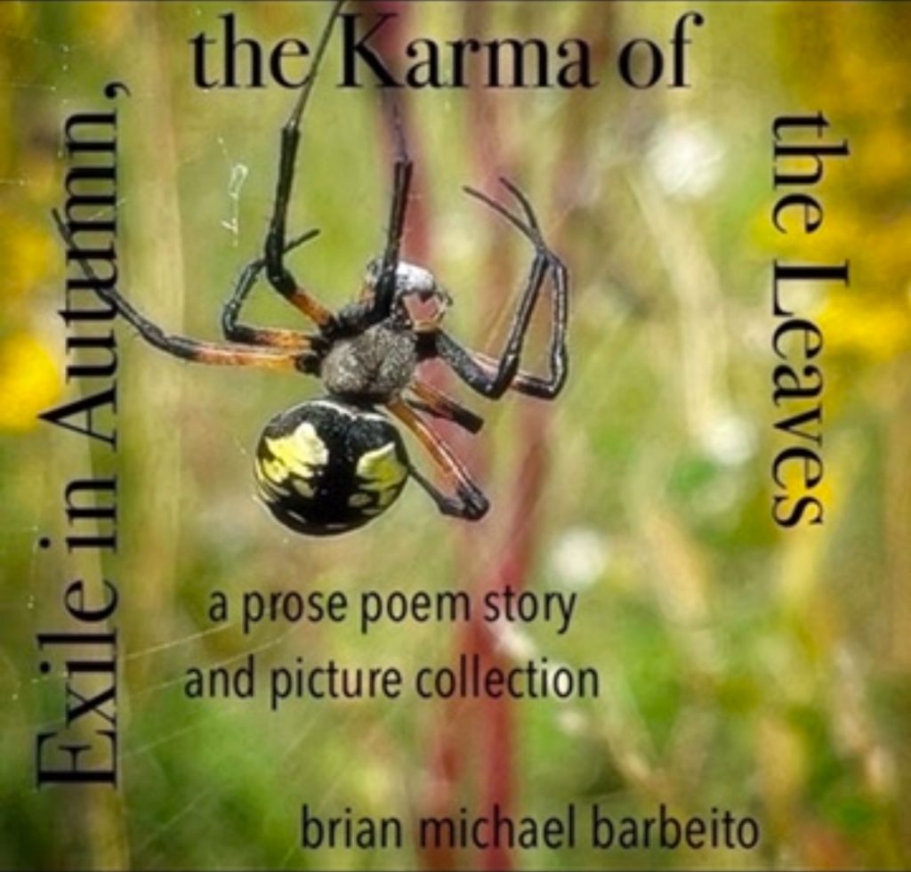 Yellow and black spider closeup spinning a web in green and brown foliage, black text reads Exile in Autumn, the Karma of the Leaves. 