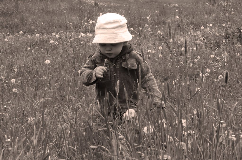 Preschool age child with a large floppy hat and jacket wandering through a field of flowers and tall grass. Black and white image. 